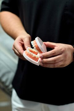 Dental hygiene demonstration with toothbrush brushing pink plastic teeth model held by adult hands against dark indoor background for oral care education training