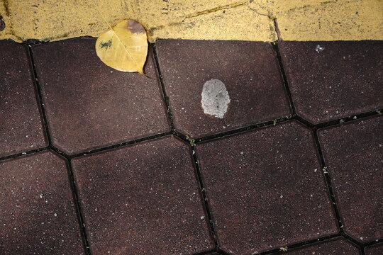 A single yellow leaf rests on dark red interlocking pavers adjacent to a cracked yellow painted line. A small light-colored splotch is visible on the pavers