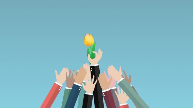 Flat vector animation footage of diverse business people raising hands and reaching towards a single bright yellow tulip flower