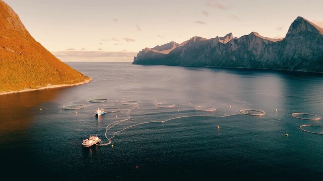 Cinematic aerial drone shot with forward motion and slight left pan revealing fish farms in deep blue fjord and majestic mountain landscape in Norway