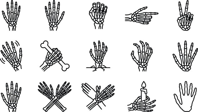 Skeleton hands vector graphics set showing various spooky gestures and spooky poses on transparent background