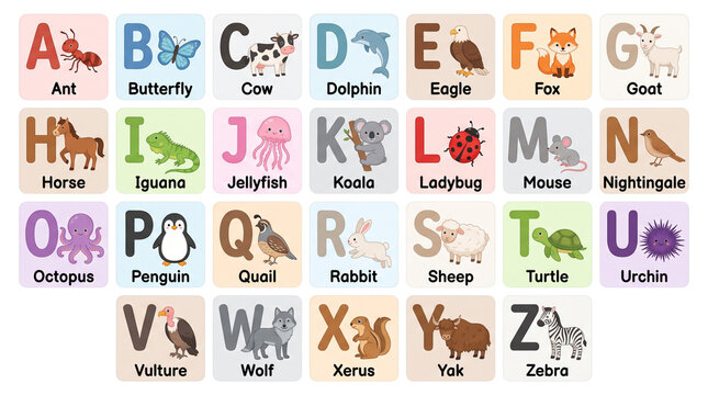 Complete educational A to Z English alphabet set with cute animals and matching names for kids' learning. Features ant, butterfly, cow, dolphin, flamingo, koala, and more in a flat vector illustration