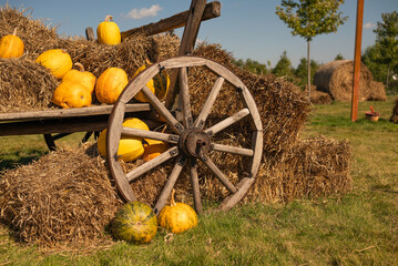 A rustic wooden wagon wheel stands among golden hay bales and bright pumpkins at an autumn farm display, with green grass and a softly blurred rural landscape creating a warm seasonal harvest scene. © Tatiana