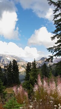 Mountain landscape in Mt. Baker-Snoqualmie National Forest, Washington. Stunning landscape view in the Artist Point area. Vertical design in 9:16 ratio. Smartphone and social media ready.
