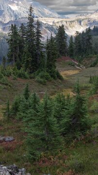 Mountain landscape in Mt. Baker-Snoqualmie National Forest, Washington. Stunning landscape view in the Artist Point area. Vertical design in 9:16 ratio. Smartphone and social media ready.