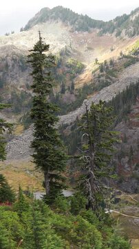 Mountain landscape in Mt. Baker-Snoqualmie National Forest, Washington. Stunning landscape view in the Artist Point area. Vertical design in 9:16 ratio. Smartphone and social media ready.