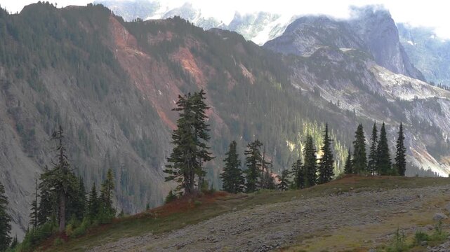Mountain landscape in Mt. Baker-Snoqualmie National Forest, Washington. Stunning landscape view in the Artist Point area.