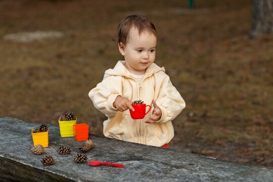 Toddler sorting pinecones into colorful cups outdoors