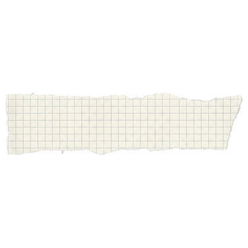 Blank Torn Grid Paper Note with Ripped Edges on Transparent Background