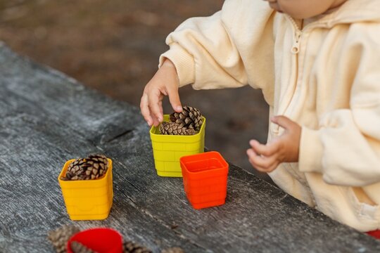 Toddler's hand sorting pinecones into colorful cups