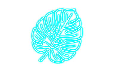 Cyan neon monstera leaf isolated on transparent background © Tohmina
