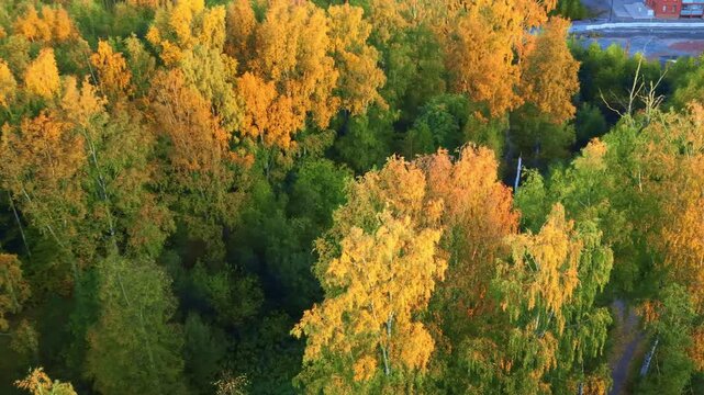 Autumn aerial view of city H&auml;meenlinna in Finland with beautiful colorful fall forest. 