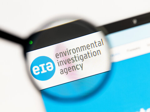 Milan, Italy 2026, 15 AGO Closeup of EIA Environmental investigation agency website page on a laptop screen. Focus on EIA Environmental investigation agency logo under a magnifying glass.