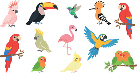 Fototapeta premium Exotic jungle bird vector collection including flat cartoon characters of cockatiel, hoopoe, and parakeet for zoo education, kids stickers, and summer holiday designs.