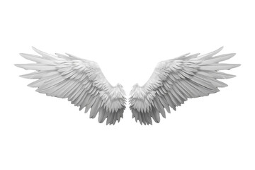 Obraz premium White feather wings in open flight pose