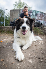 Fototapeta premium happy white dog sitting with owner