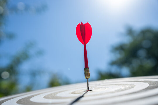 A dart is shown hitting the center of the dartboard. This symbolizes precision, determination, and achieving the business goal.