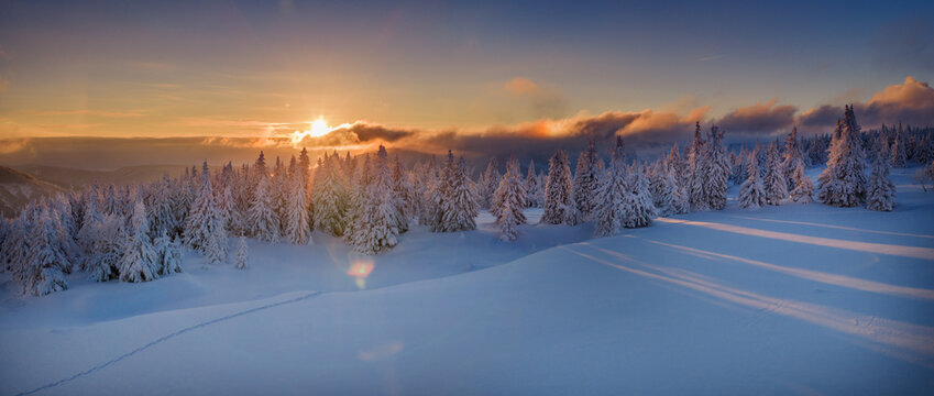 Aerial View of Winter Mountain Forest