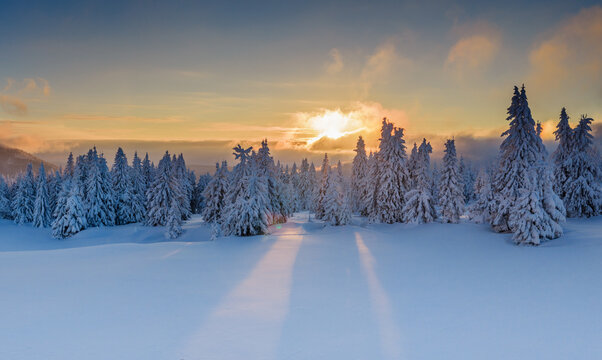Aerial View of Winter Mountain Forest