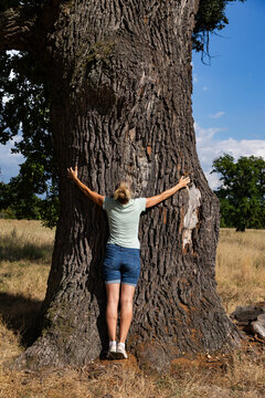 woman hugging a huge tree