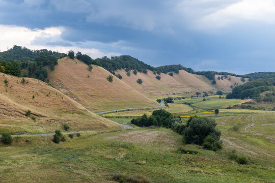 valley with rolling hills in summer