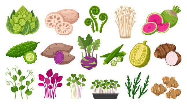 Set of various exotic vegetables and edible plants isolated on white background.