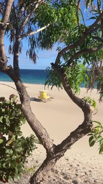 Vertical static view of yellow lifeguard hut on sandy beach framed by tree branches and ocean, Morro Jable, Fuerteventura