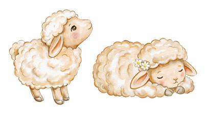 Watercolor cute sheep and sleeping lamb set isolated on white background © Yuliia
