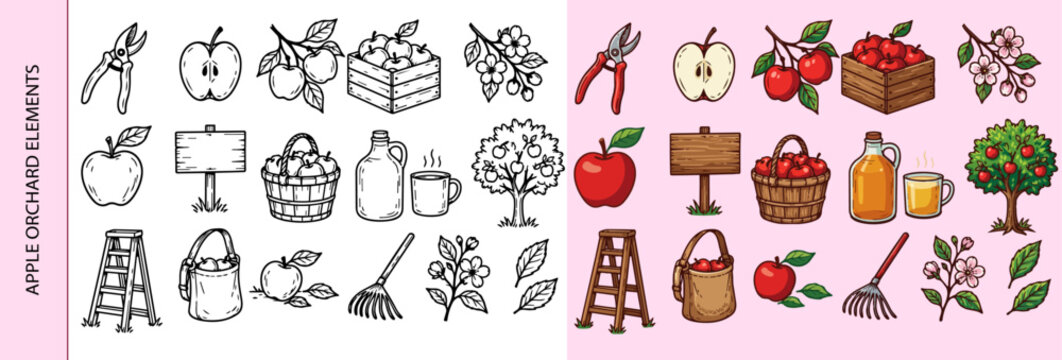 Hand drawn fruit harvest vector elements with apples, baskets and garden tools