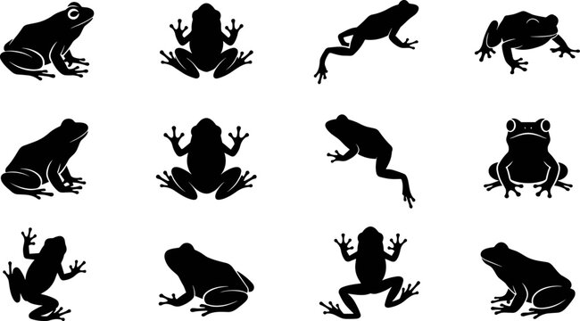 Set of frog silhouettes in various poses