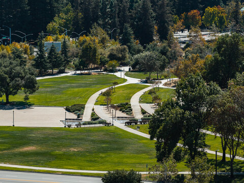 Aerial view reveals winding concrete pathways traversing landscaped lawns and trees within a sunny corporate Google campus park in Mountain View, California.
