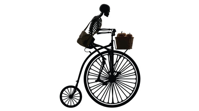 Creepy human skeleton riding vintage penny farthing bicycle carrying autumn pumpkins in front basket