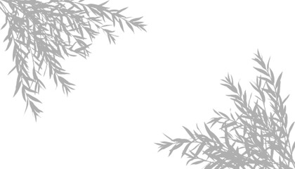Minimalist willow branch shadow isolated on transparent background © Osman Hadi