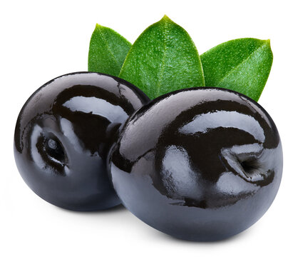 Black olives with leaves element composition. Fresh organic raw black olive branch isolated on white background. Olives Clipping path. Full depth of field
