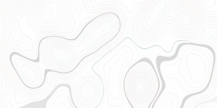 Abstract grid landscape topography white background. Topography Height Contour Map Artwork with Flowing Terrain Lines Transparent Outdoor Landscape Pattern for Vintage. Topo contour paper map design.