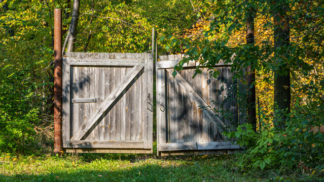 Weathered wooden double gates standing on an overgrown rural plot under dappled forest sunlight