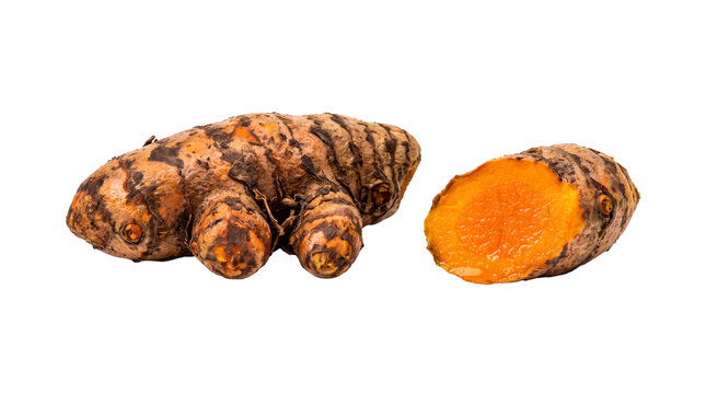 Fresh turmeric root with sliced cross section, organic orange curcuma rhizome, raw ginger family spice for healthy cooking and herbal medicine isolated PNG with Transparent Background