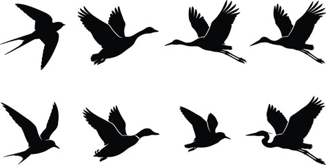 Obraz premium Flying bird silhouette collection featuring cranes and swallows in dynamic poses, wildlife nature symbols, black animal shapes, cad drawing flat vector illustration