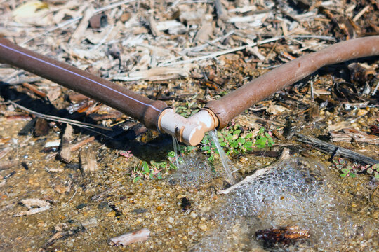 Leaking Drip Irrigation System Wasting Water