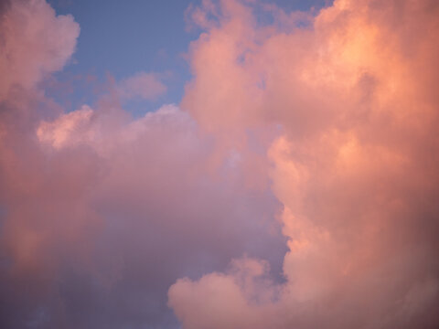 Soft pink sunset clouds and blue sky background, pastel cloudscape texture for wallpaper, design, sky replacement and dreamy atmospheric backdrop.
