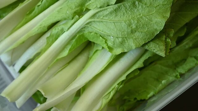 Fresh Taiwanese Bok Choy Prepared for Cooking