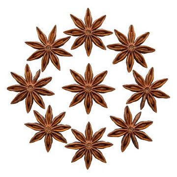 Star anise spices arranged in a circle isolated on transparent background