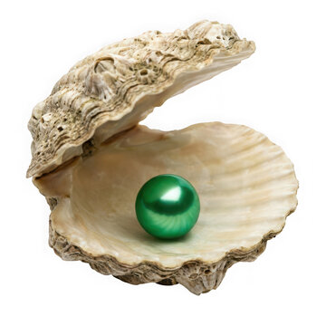 Open oyster shell with green pearl isolated on transparent background