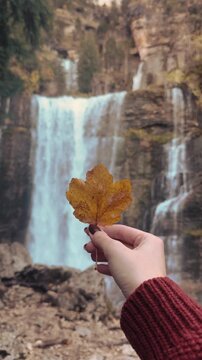 Main tenant une feuille d&rsquo;&eacute;rable dor&eacute;e devant une cascade au c&oelig;ur d&rsquo;une for&ecirc;t en automne. Les couleurs chaudes du feuillage, les rochers et les eaux tumultueuses composent une sc&egrave;ne naturelle paisible