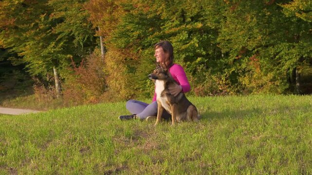 CLOSE UP, PORTRAIT: Smiling woman sits in sunny meadow beside her attentive shepherd dog, gently caressing its back. Relaxation and connection between human and pet amidst warm autumn woodland foliage