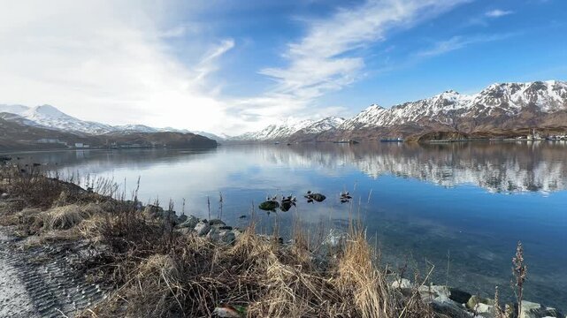 Tranquil shot of a bay with clear water reflections of mountains, a small group of geese resting on rocks and  a bird flying by.