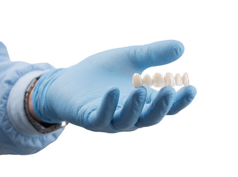 Dentist holding a ceramic dental bridge prosthesis on a transparent background, studio shot