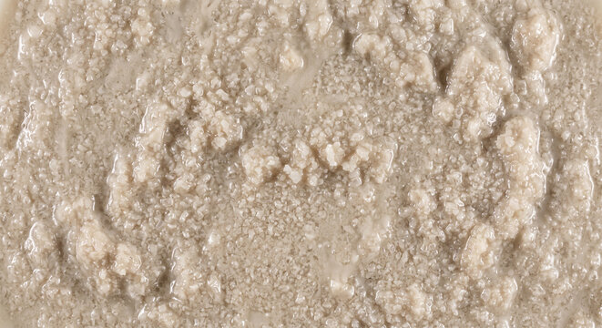 Wet struvite precipitate shown as a full-frame pale crystalline slurry with moisture-bound mineral particles and irregular agglomerated texture
