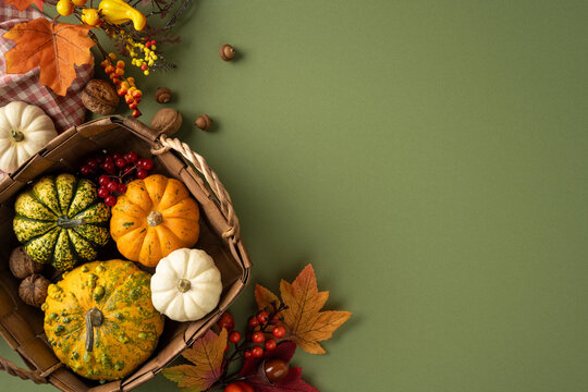 Autumn harvest basket with pumpkins, gourds, leaves and Thanksgiving decorations on green backdrop