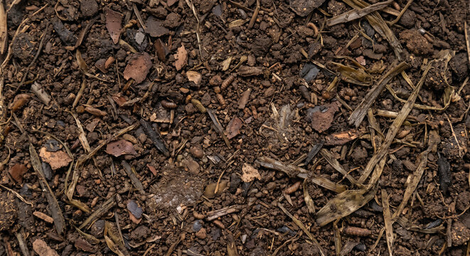 Post-bioconversion food-waste residue shown as a full-frame field of softened plant fibers, decomposed fragments, fine particles, and compacted organic patches